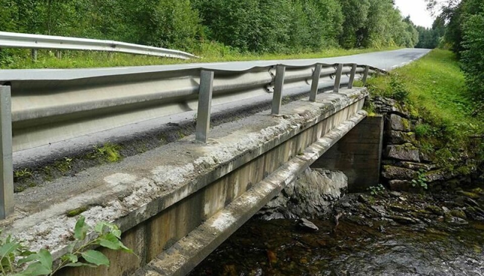 REHABILITERES: Trøndelag fylkeskommune bruker halvannen million på en betydelig rehabilitering av Rugla bru. Reitvegen blir dermed stengt på stedet i flere uker i sommer. Foto: ukjent