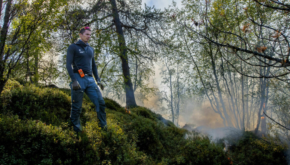 Sindre Kolstad Valan, medlem av Naturvernforbundet under den kontrollerte brenninga av Femundmarka i september 2022. Foto: Cecilie Bergan Stuedal