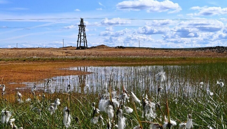 STORWARTS: Storwartz-feltet var et av kobberverkets to hovedgruveområder. Røros Ap og Holtålen Ap mener at staten må ta et særskilt ansvar for å rydde opp i gruveområdene som det ennå ikke er ryddet i. Foto: Trond Haugan STORWARTS: Storwartz-feltet var et av kobberverkets to hovedgruveområder. Røros Ap og Holtålen Ap mener at staten må ta et særskilt ansvar for å rydde opp i gruveområdene som det ennå ikke er ryddet i. Foto: Trond Haugan