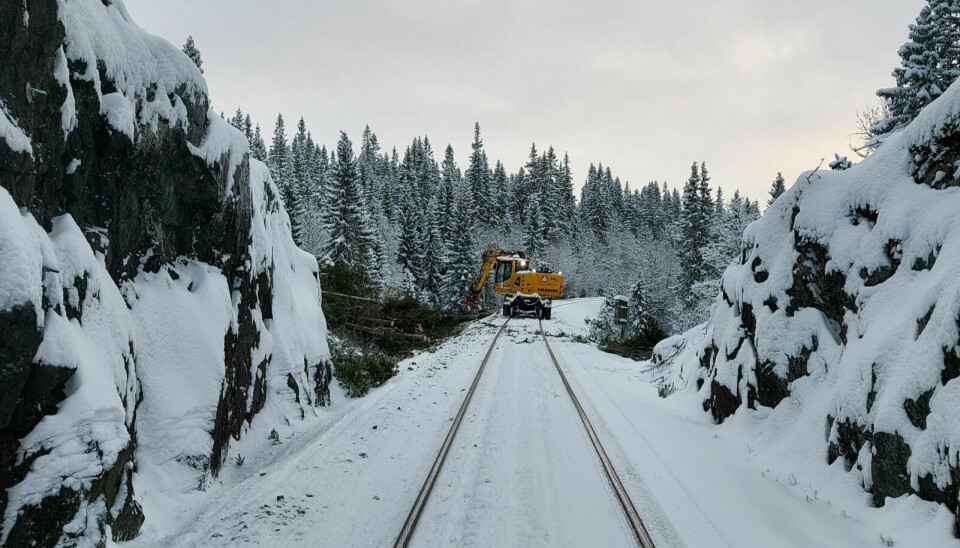 SKOGRYDDING: Her er Tronfjell Maskin i gang med skogrydding på Rørosbanen tre kilometer sør for Reitan stasjon i Ålen. Foto: Raymond Gustu