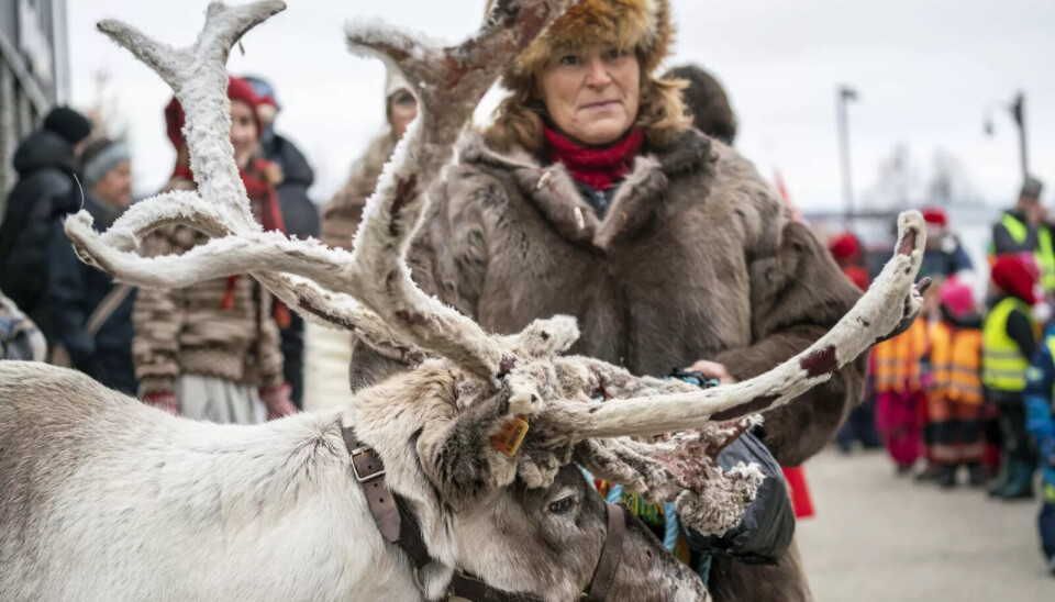 SKUFFENDE OMSETNING: Daglig leder i Rørosrein, Eva Nordfjell forteller om dårlig omsetning under Ski-VM.
