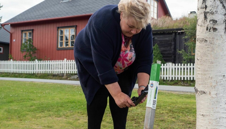 SOLBERG PÅ STOLPEJAKT: Erna Solberg tok seg tid til 'å fange' en stolpe underveis. Foto: Ingrid Hemming