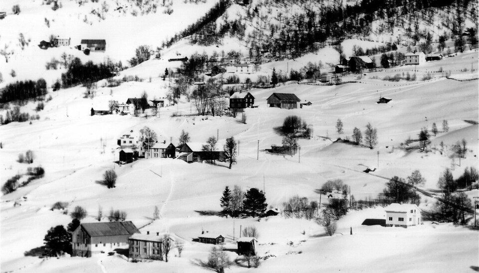 GRAFTÅS: Et parti av Graftås i Ålen tidlig i 1960-åra. Forfatteren vokste opp på gården nederst i bildet, Sundrønningan. Om trykken er snill, ser vi både sledespor og skispor over jordene. Gården er ytterpunktet i nord for grendavegen Kalvhåggån som vi skimter litt av til høyre. Foto: Anders Gjærevold/Norrønafly