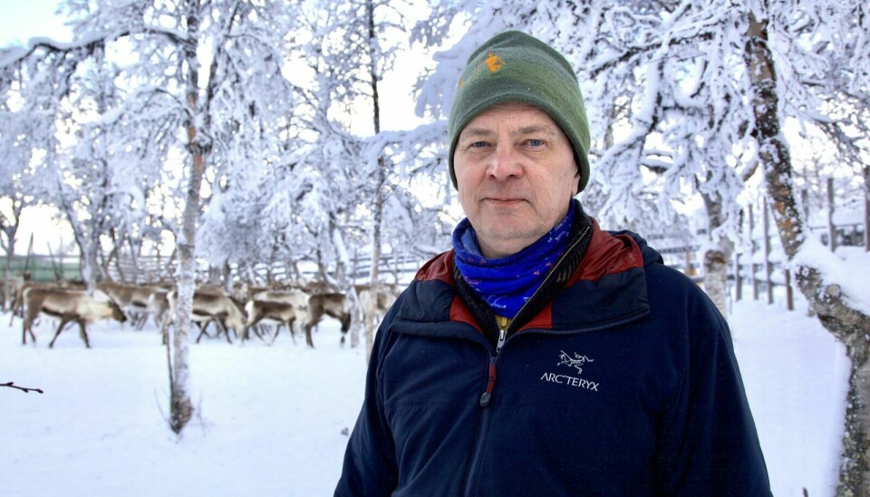 RIKTIG RETNING: Årets reindriftsavtale er et skritt i riktig retning. Det sier leder i NRL, Inge Even Danielsen. Arkivfoto: Geir Tønset