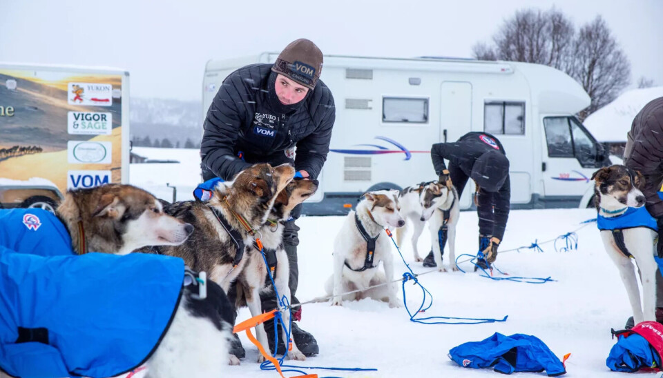 PROTESTERER: Niklas Rogne er en av hundekjørerne som har signert oppropet som setter ned foten mot vaksineringskravet til årets VM i langdistanse hundekjøring under Femundløpet.