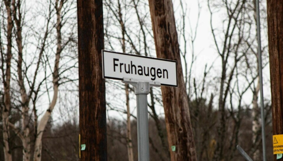 KONTROVERSIEL: Den forespeila utbygginga av nytt hyttefelt på Fruhaugen – prosjektet går under navnet Fruvollen.