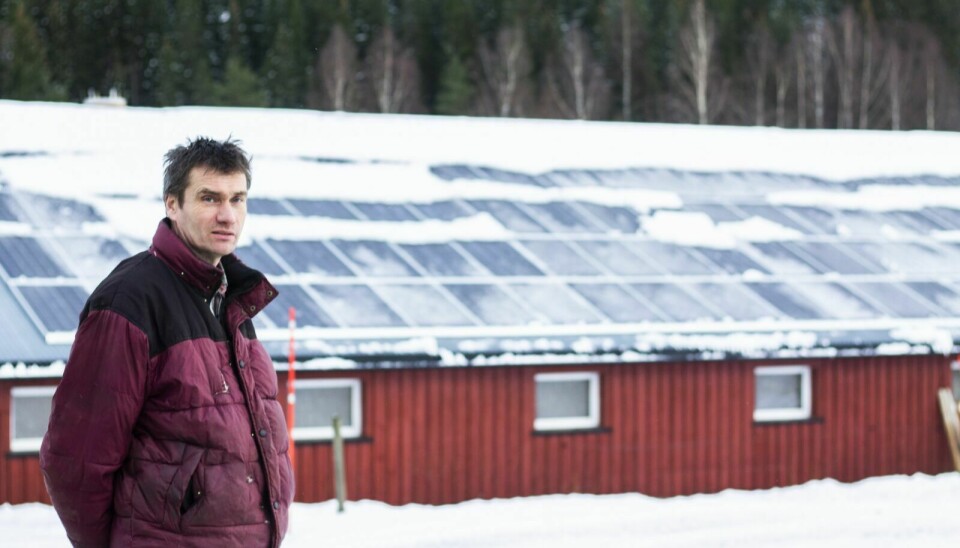 FRA SOLLYS TIL STRØM: Anders Bollingmo har gått til anskaffelse av solcellepaneler som skal forsyne gården i Haltdalen med strøm. Foto: Eskil Buseth Folstad
