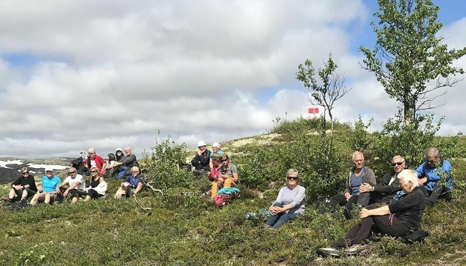 FJELLTRIM: Den 32 utgaven av OK Fjells fjelltrim er i gang. Bildet er fra åpningsturen til posten på Rognsåsen i Hessdalen forrige søndag . Foto: Magne Idar Evenås
