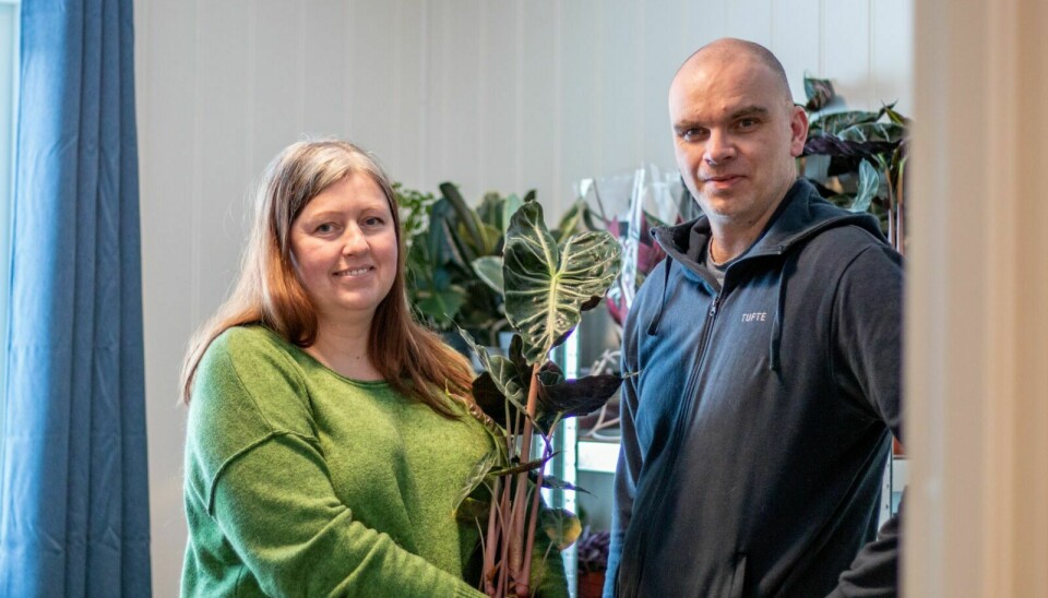 IN MED PLANTER: Hege og Tor Asbjørn Grønnerøe sier det er et marked for butikken deres. – Plutselig skal alle ha planter, sier Hege. Foto: Marit Langseth