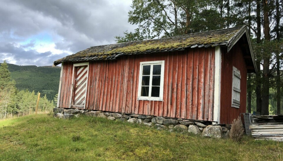 SOMMERSTUA: Vegard Dragmyrhaug skal restaurere sommerstua på Grøndal i Ålen. – Isolert sett er det ikke et stort bygg, men det har sin verdi som kulturminne, sier han. Foto: Privat