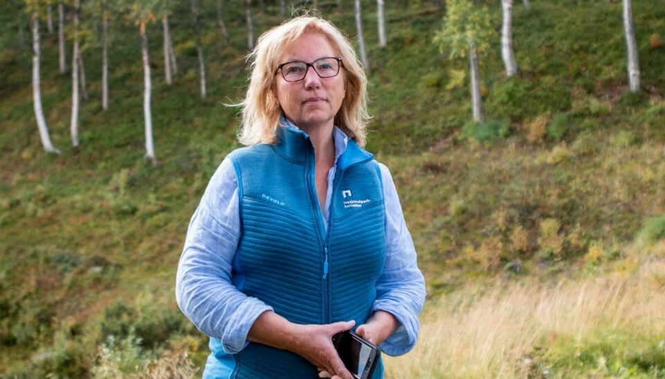 ALVORLIG: Nasjonalparkforvalter Kirsti Thyrum sier det er flere faktorer som gjør at de nå velger å anmelde. – Det som gjør denne saken spesielt alvorlig er at det er en organisert tur i regi av en folkehøyskole som har egen linje for friluftsliv, sier hun. Foto: Marit Langseth