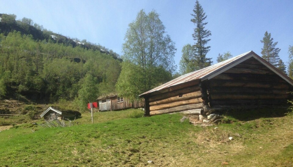 FJELLTRIM: OK Fjell inviterer til fjelltrim i Holtålen. Foto: Privat