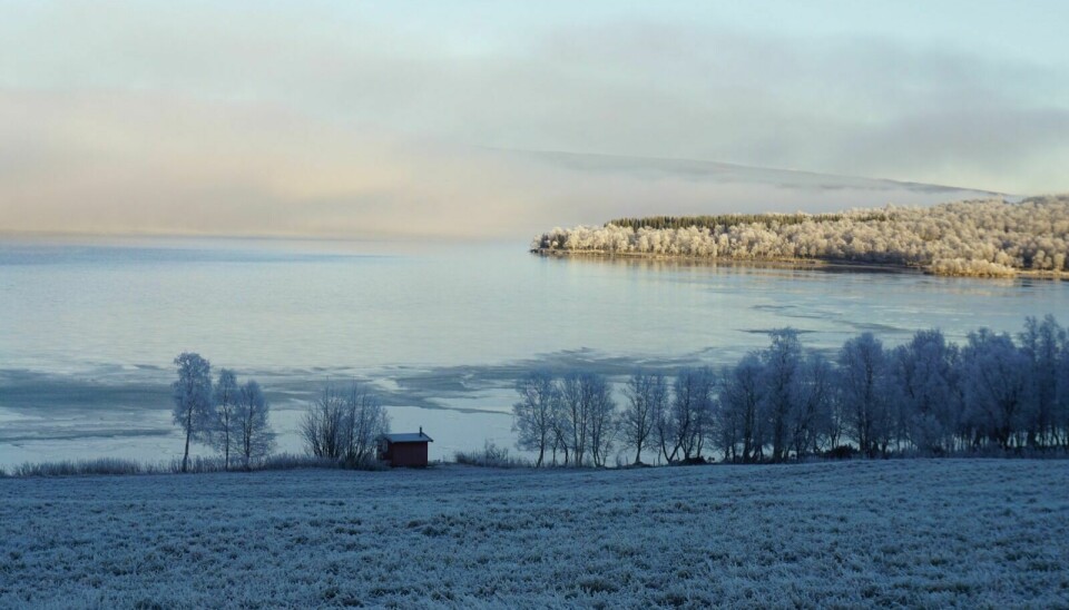 For første gang skal Aursundsjøens fiskeforening lage en driftsplan for Aursunden. Et av målene er at innsjøen skal bli mer attraktiv for sportsfiske. Arkivfoto: Marit Skancke Langen