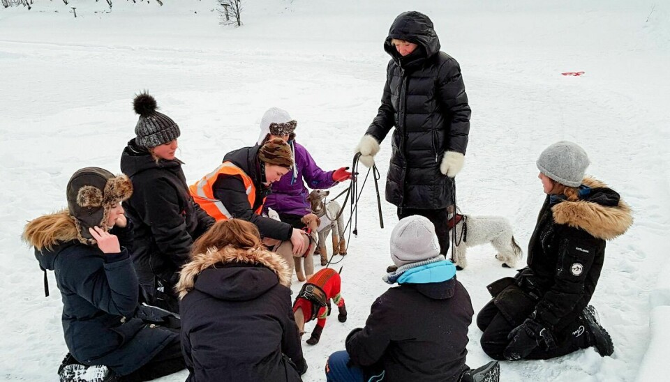 FRA I FJOR: Under Femundløpet i fjor testet Femundløpet ut noen aktiviteter for familiehunder på Doktortjønna. Foto: Hanne Feragen