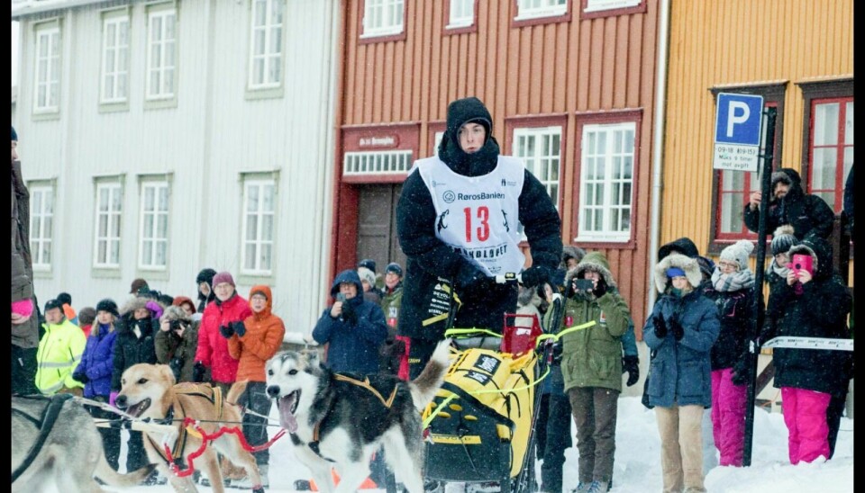 SLEDETURER: Amund Kokkvoll ønsker å tilby tredagers ekspedisjonsturer med hund og slede allerede i mars-april neste år. Arkivfoto: Marit Langseth
