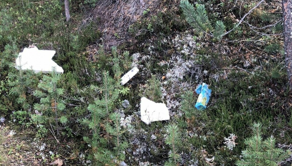 FORUTSATTE OPPRYDDING: Statskog er grunneier og forutsatte at RCM ryddet opp søpla rundt anlegget innen utgangen av september. Bildet er tatt av Statskog 1. september. Foto: Statskog