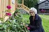 ROSEDYRKEREN: Ingrid Halvas-Svendsen tar godt vare på rosene gjennom en lang og varm sommersesong. – Nå er det ikke så mange blomster igjen, men i sommer var rosebuskene røde og fine, sier hun. Foto: Eskil Buseth Folstad
