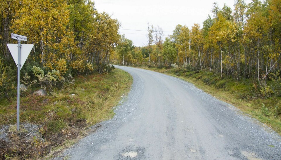 RUSTES OPP: Vongrovsvegen er én av de tre kommunale vegene Holtålen kommune ønsker å bruke «koronatilskuddet» fra staten på. Foto: Eskil Buseth Folstad