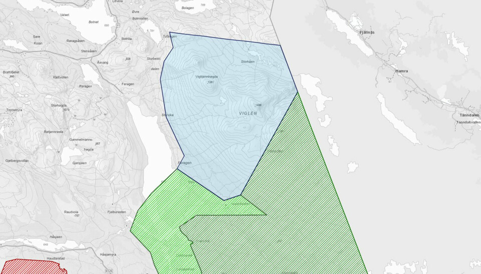 VIL UTVIDE: Kartet viser arbeidsgrensene for utvidelsesområde i Femundsmarka nasjonalpark. Utvidelsesområdet er den lyseblå figuren som ligger i nordenden av Femundsmarka najsonalpark i grønt.