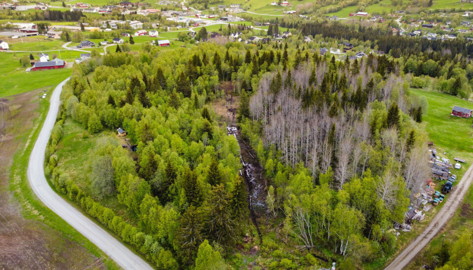 PÅ FRAMSIDA: Bildet er tatt før den nye barnehagen i Ålen ble bygd. Jensåsvollan boligfelt ligger rett på nedsida av barnehagen, i øverste del av bildet.
