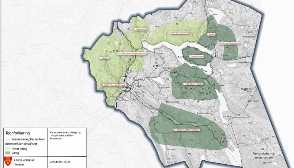 SVÆRT VIKTIG: Kommunedelplan for sentrum med klassifiserte beiteområder. De lysegrønne områdene viser svært viktige beiteområder og de mørkegrønne viser viktige områder i Røros kommune.