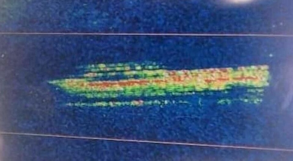 UKJENT SUNKET OBJEKT: Dette bildet er avfotografert fra multibeam-skanneren som søketeamet brukte. Det viser et objekt på bunnen av Djupsjøen som er 14 meter langt og tre meter bredt. Ingen tør si hva det er – ennå.
