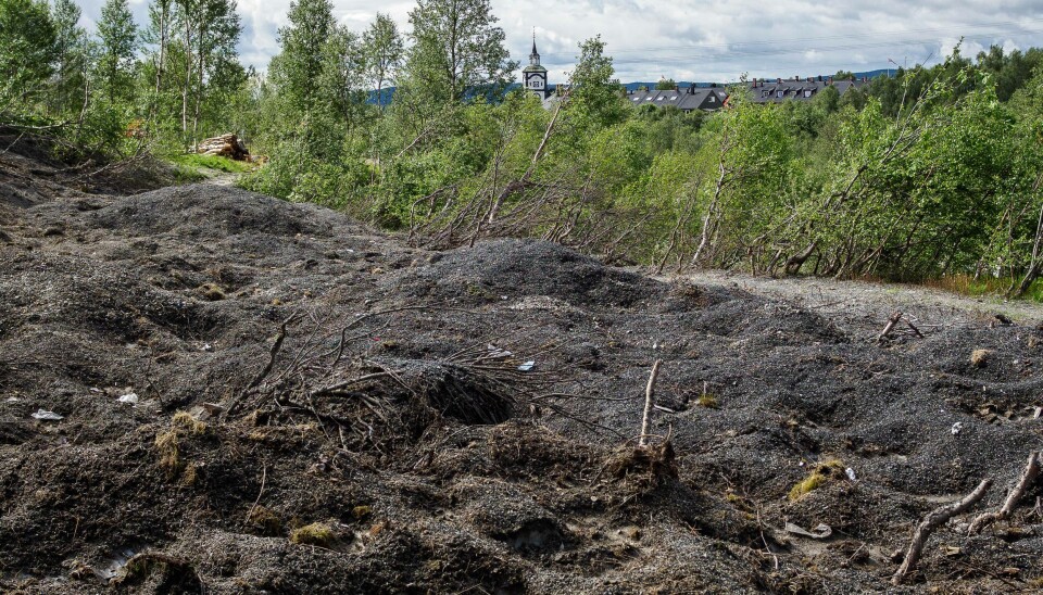 UTSIKTEN: Bergstadens Ziir og verdensarven kan vises fra bedre sider, men dette er likevel en av dem. Søppel, grus og ødelagte trær i forgrunnen, et forsøk på et sti, grønn krattskog og kirka i bakgrunnen