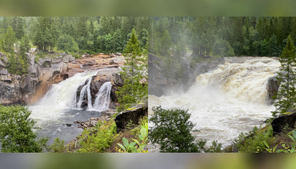 MYE VANN: Bildet til venstre av Hyttfossen ved Eidet er fra mandag morgen. Bildet til høyre er tatt nøyaktig 24 timer senere. Vannstanden i Gaula ble høy, men elva ble aldri flomstor.