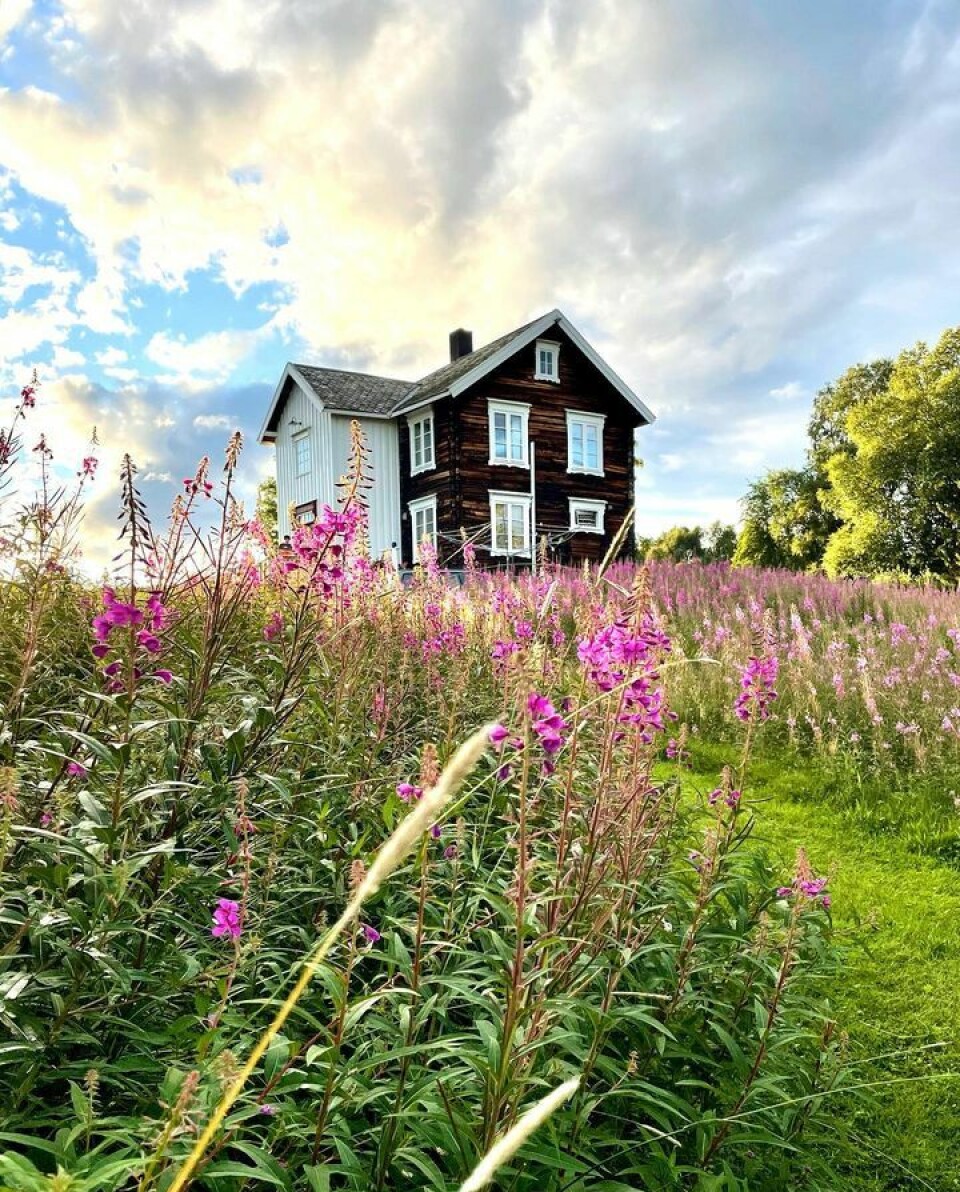 Vinner uke 34 i #sommerljomen