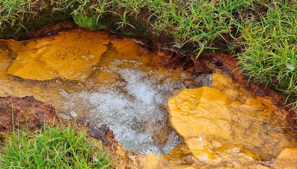 STARTER OPPRYDDING: Holtålen kommune ser på ulike muligheter for å stoppe avrenning av tungmetaller fra Killingdal gruve.