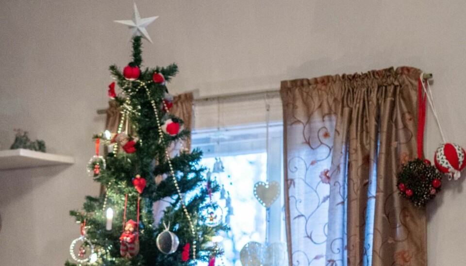 JULETRE: Juletreet står trolig pyntet i de fleste hjem, men nå er det kanskje snart på tide å hive det ut.