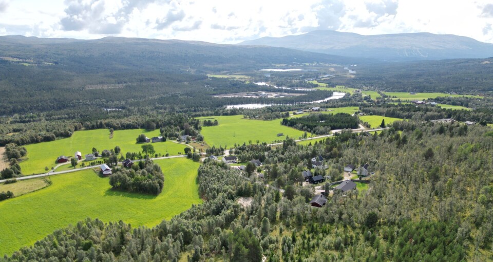 FRUHAUGEN: Dronebilde mot Galåen og Havsjøen.