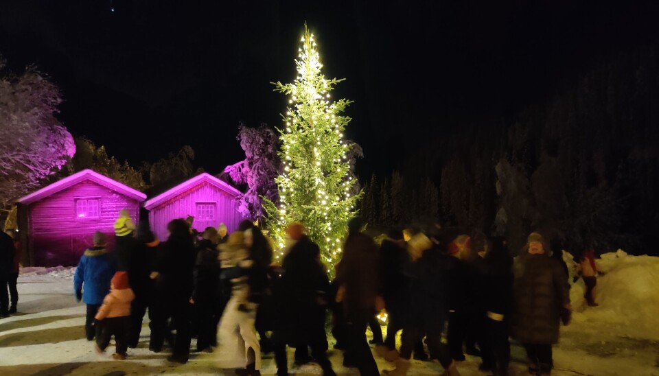 VAKKERT LYSSATT: Det ble gang rundt treet med fargerik lyssetting og musikk fra vinduene.