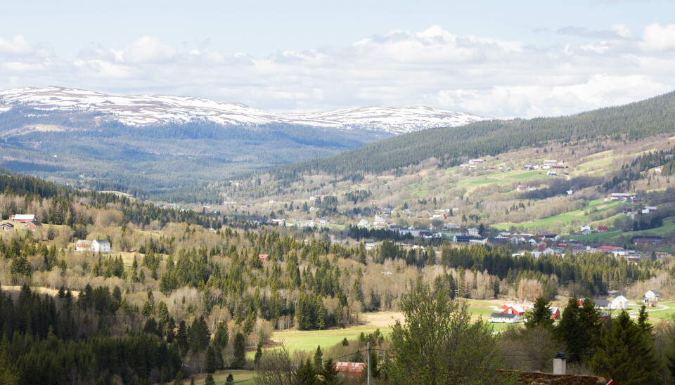 EN MILLION RIKERE: En holtåling ble lørdag kveld én million kroner rikere takket være ren og skjær lotto-lykke.