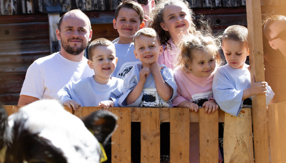 SPENNENDE KALVER: Shpetim (f.v.), Roan, Aron, Daris, Dorina, Alea, Leon og Leonora Krasniqi er faste gjester på Røroskuas dag. Bak med solbriller står Leotrim Krasniqi.