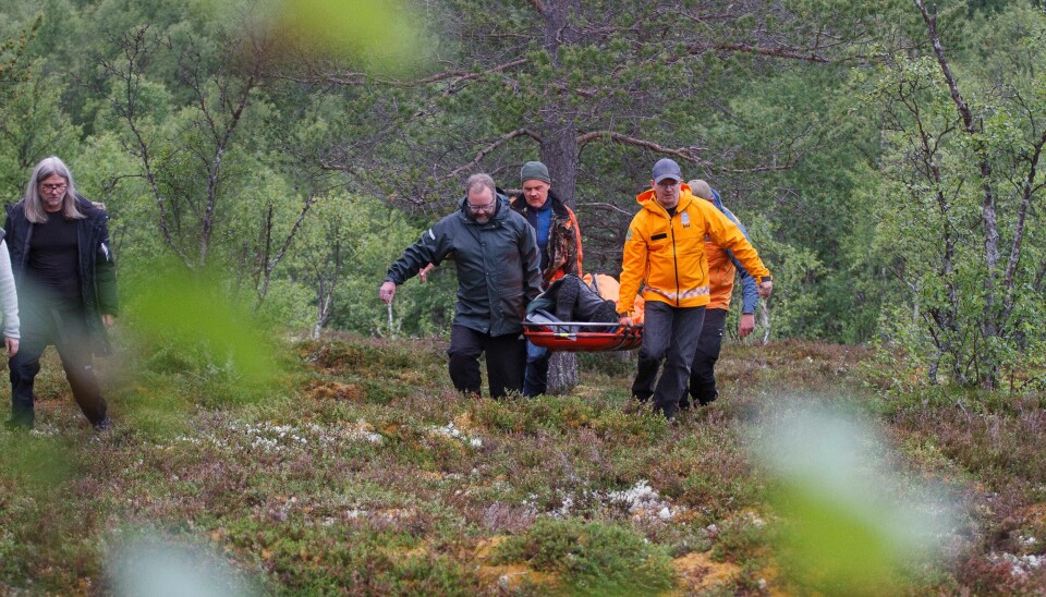 ULENDT BÆRING: Trond Hellemstulen går foran og viser korteste og mest skånsomme vei, mens Even Løvseth Sandnes (f.v.) Ronny Dybdahl, Aage Løkken og Erik Evenås Sand finner fotfeste i tuene.