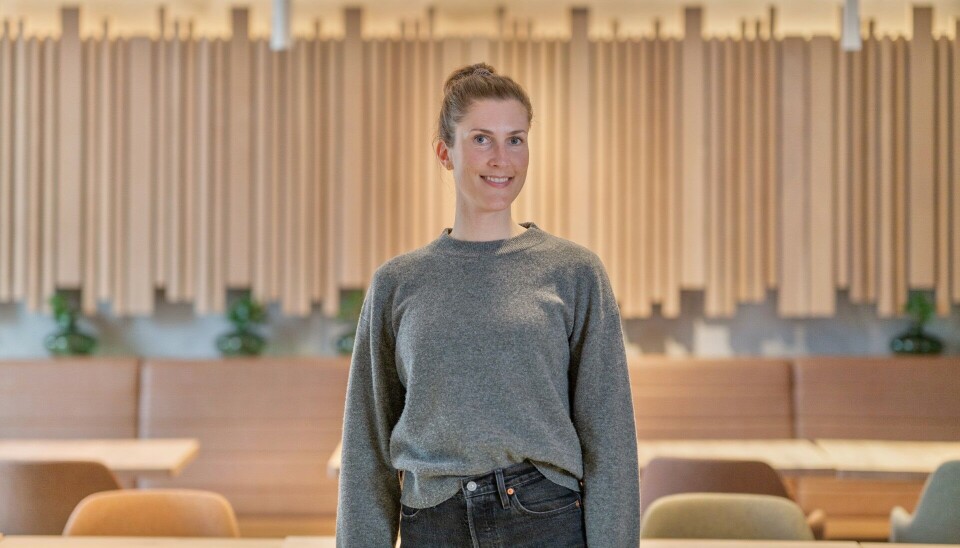 – DET BLIR VÅTT: Statsmeteorolog på Meteorologisk institutt i Bergen, Magni Svanevik, sier at det blir opp til 50 mm nedbør de neste 24 timene.