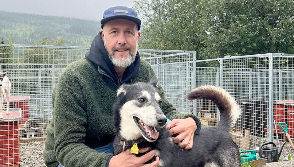 ROBERT RUDSAR GLEDER SEG: – Femundløpet er bare helt rått. Det er fasinerende å oppleve den elektriske stemningen som råder i Røros under starten, sier den ferske markedssjefen.