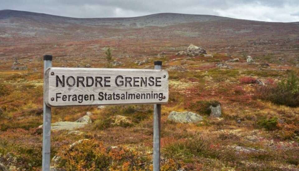 INGEN JAKT: Feragen fjellstyre sier nei til jakt på rype og skogsfugl også i år. Hovedårsaken er for lave kyllingtall.