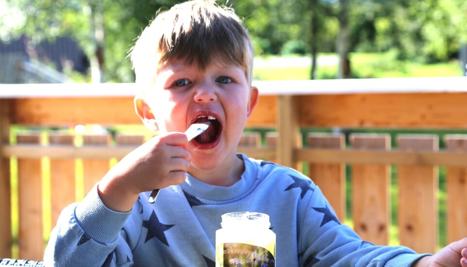 EKSPERT PÅ HONNING: Jonathan Moan er en erfaren honningkjenner, selv om han bare er tre år.