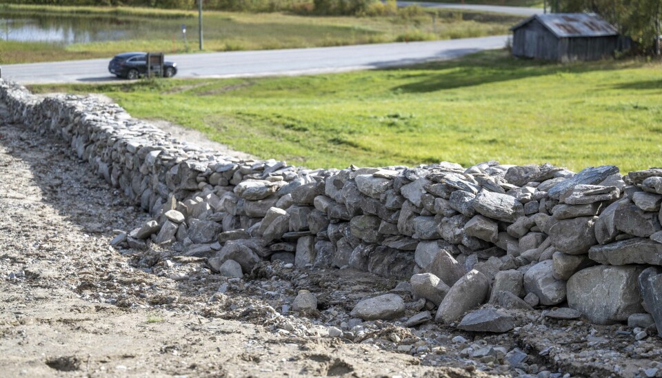 RASTE NED: Steingjerdet på Sjøbakken raste sammen kort tid etter at det var ferdig restaurert. Steingjerde på Sjøbakken
