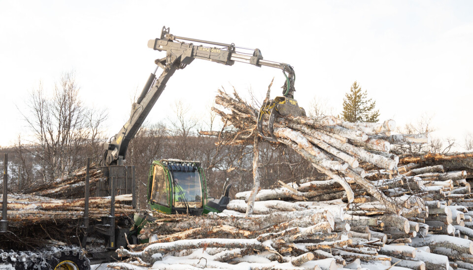 INDUSTRI: Ola Hermann Julseth losser av tømmer som skal brukes i industrien.