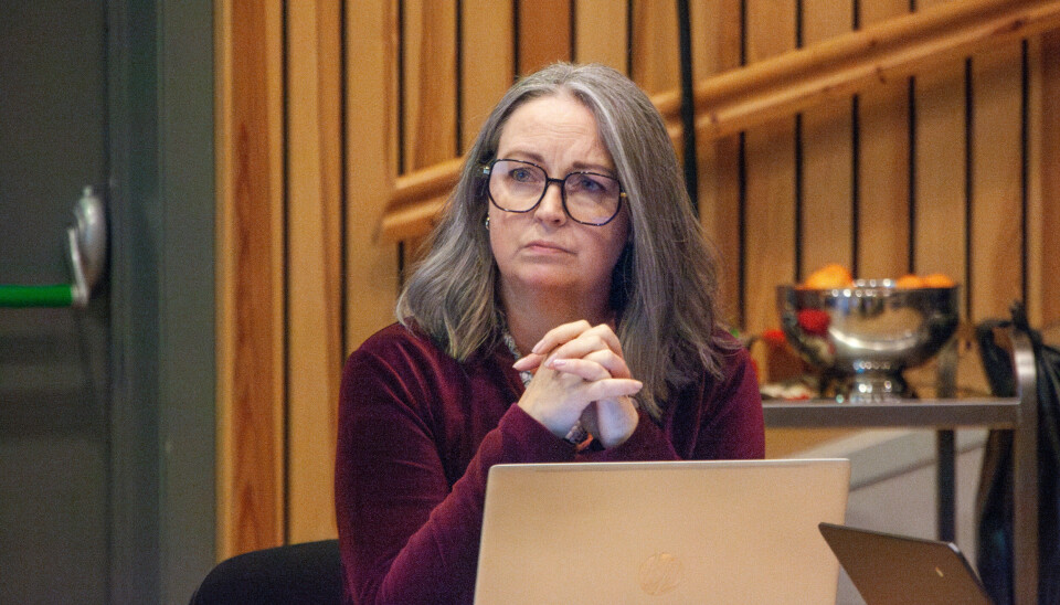 Ann Elisabeth Hansvold (Ap) under kommunestyremøte i Holtålen 17. desember 2024.