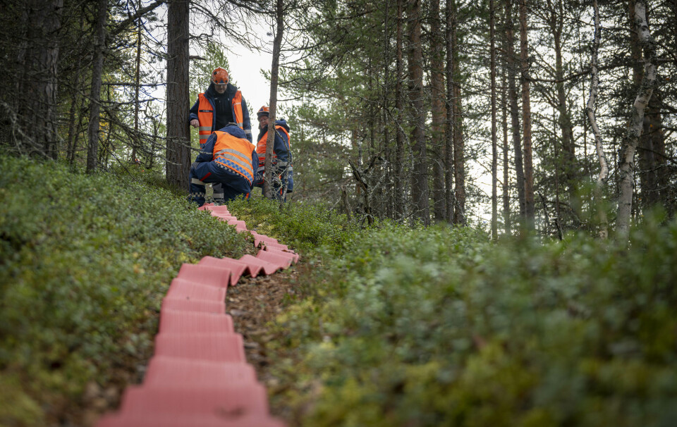 Langegga brenner og ilden beveger seg mot Røros sentrum. Sivilforsvaret på Røros har kalt inn alt tilgjengelig personell for å bistå brannvesenet med slokkinga. Sivilforsvaret
