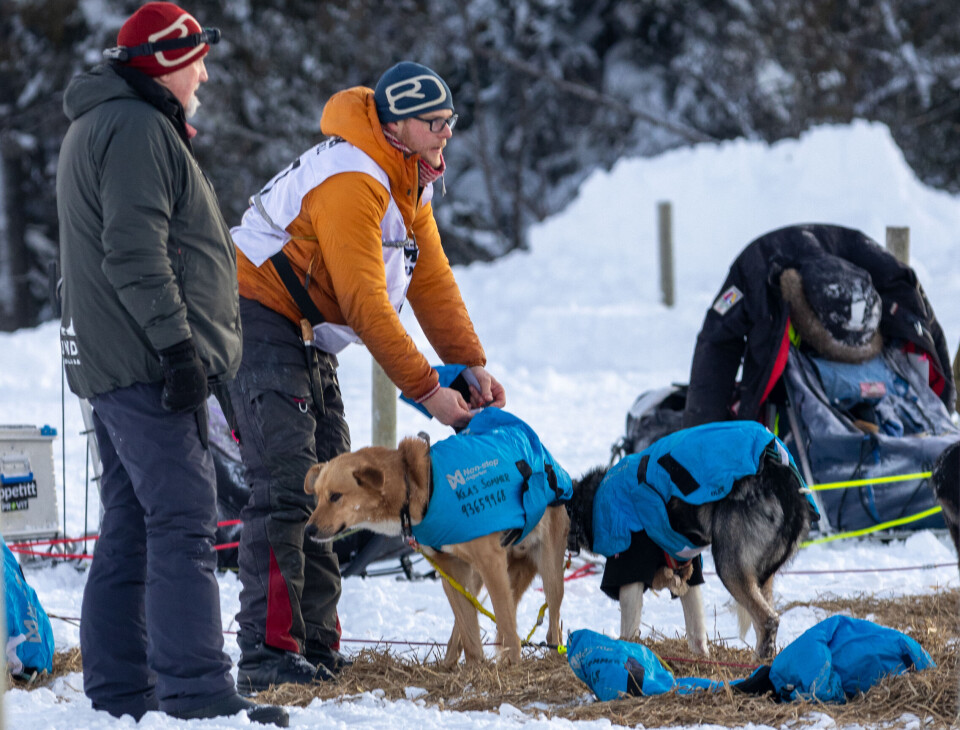 EFFEKTIV: På tross av egen sykdom og mye snø, er Klas Sommer fornøyd med gjennomføringa av MUSH Synnfjell i helga.