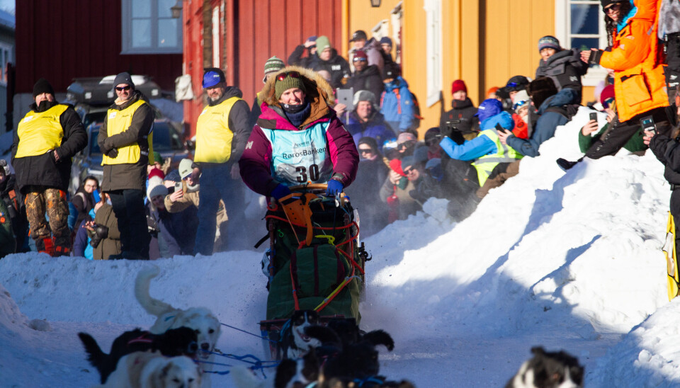 FOLKEFEST: Årets Femundløp og VM i hundesport bidro med mer enn 31 millioner kroner i omsetning til lokalsamfunnet ifølge ringvirkningsanalysen.