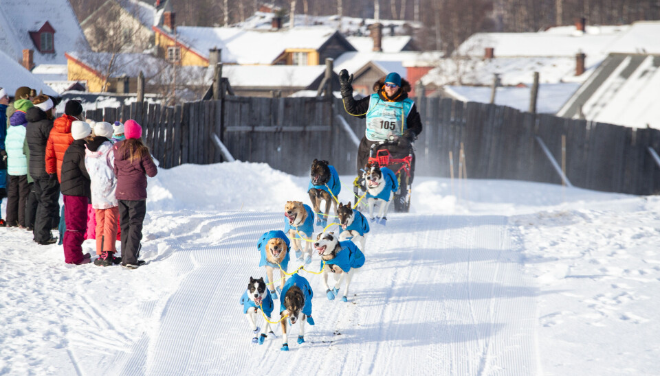 FOR FEMUND TREKKUNDKLUBB: Clas Sommer og spannet over Slegghaugan i Røros. Den erfarne hundekjøreren fra Røros og åtte alaskan huskyer har 450 kilometer foran seg.