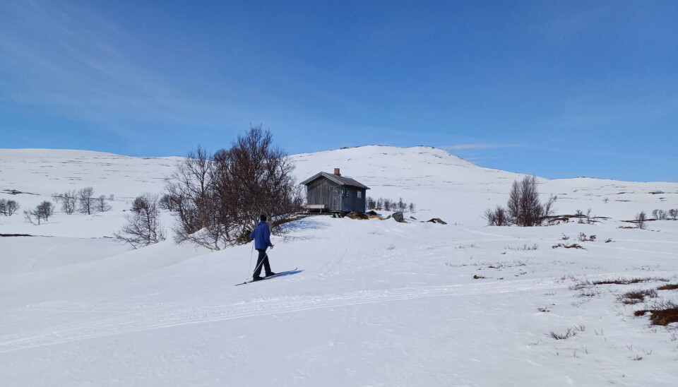 SAUBUA: Søndag blir det oppkjørte løyper fra Kokkvoll til Saubua, en tur på rundt sju kilometer.