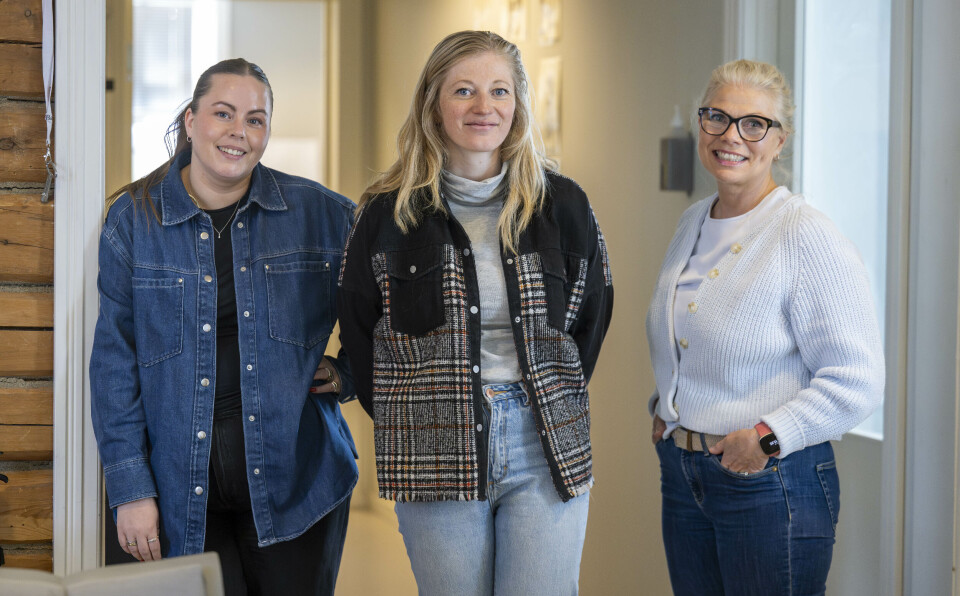 STABEN: Tre av de som drifter desinasjonsselskapet Visit Røros og Østerdalen som geografisk strekker seg fra Åmot i sør til Haltdalen i Nord. Fra venstre Margit Wintervold, prosjektansatt, Maren Narjord, prosjektleder bærekraftig reisemål og Tove Martens, reiselivssjef