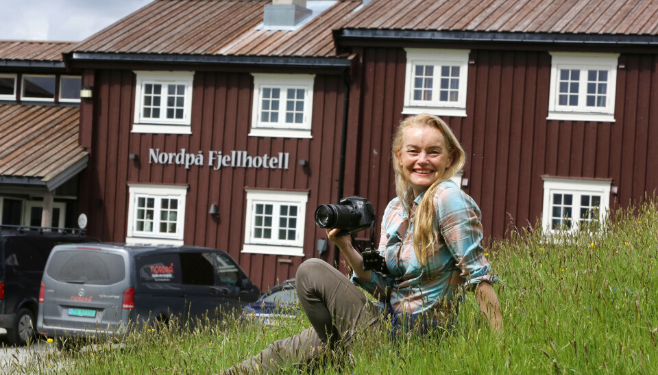 BØNNHØRT: En uventet stillingsannonse fra Nordpå Fjellhotell åpnet et nytt kapittel i livet for Tonje Cicilie Nordgaard. California er byttet ut med Trøndelag – og Haltdalen.